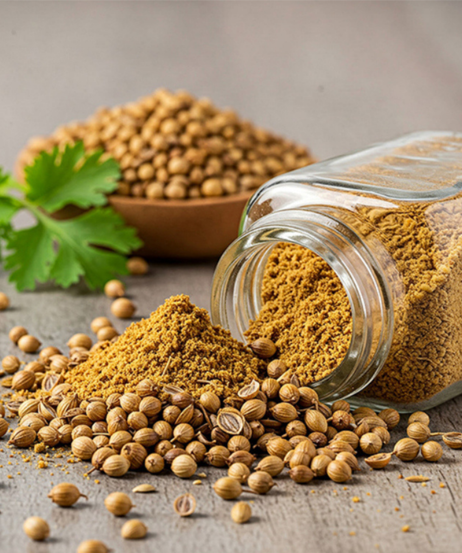 Dhania Powder
